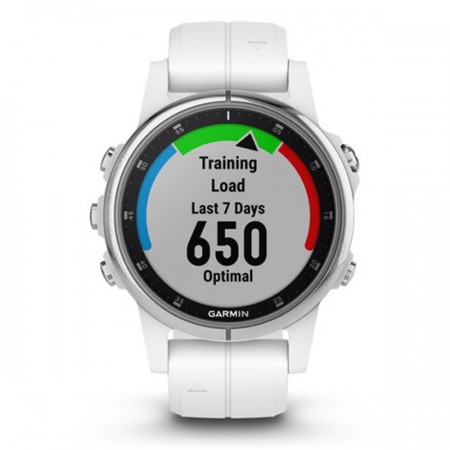 garmin smartwatch fenix 5s plus